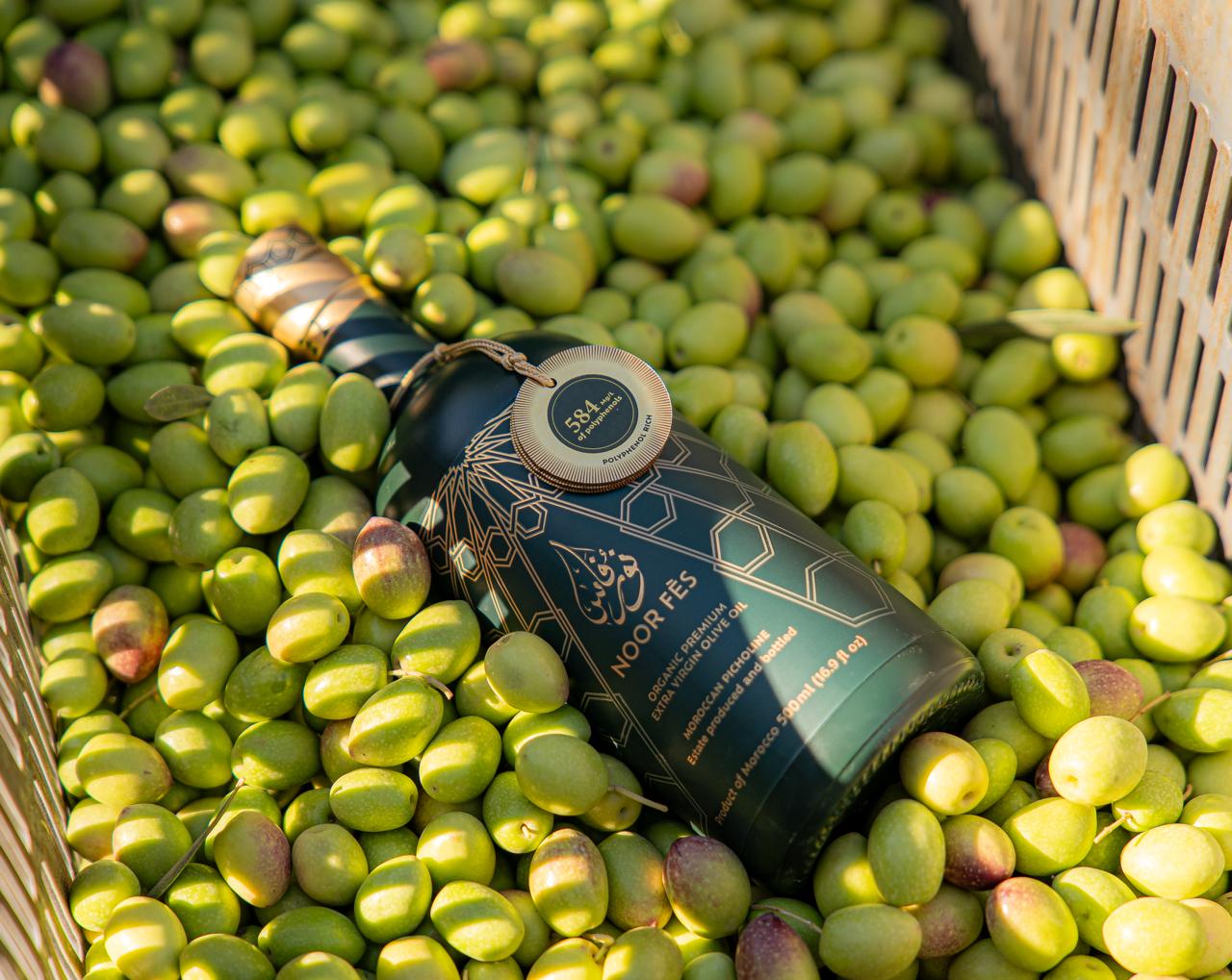 Botol Noor Fès dikelilingi buah zaitun segar